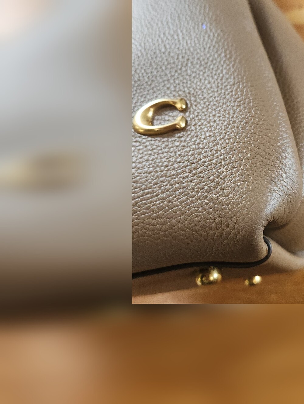 Coach Lana Shoulder Bag - Picture 6 of 13